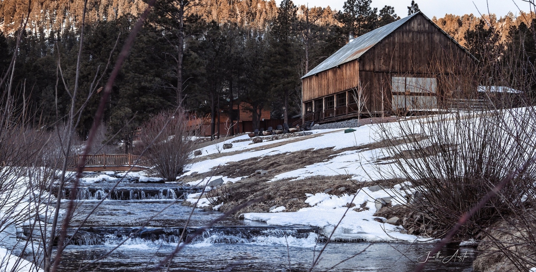 Life in the White Mountains